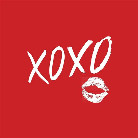 xexgo|xexgo .